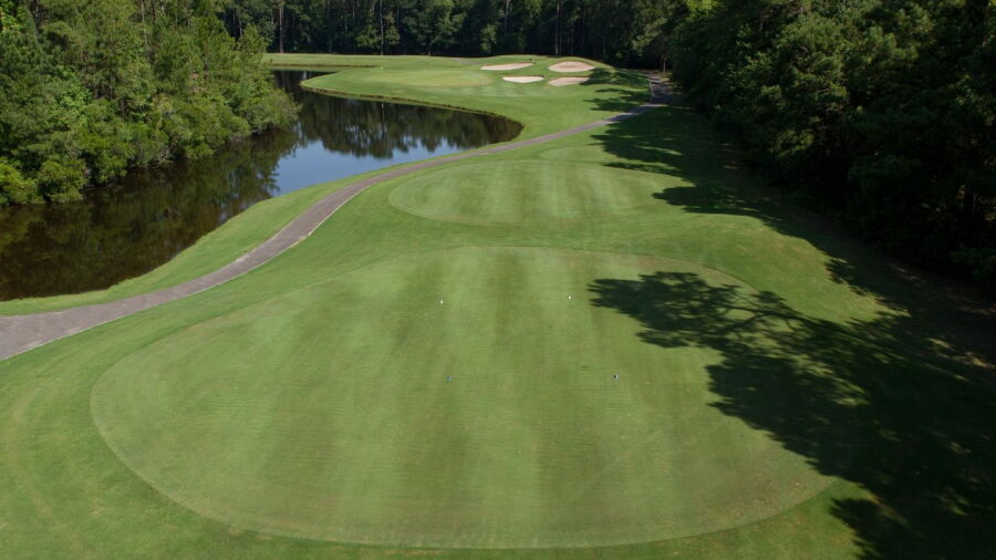 Wild Wing Plantation - Avocet: #5