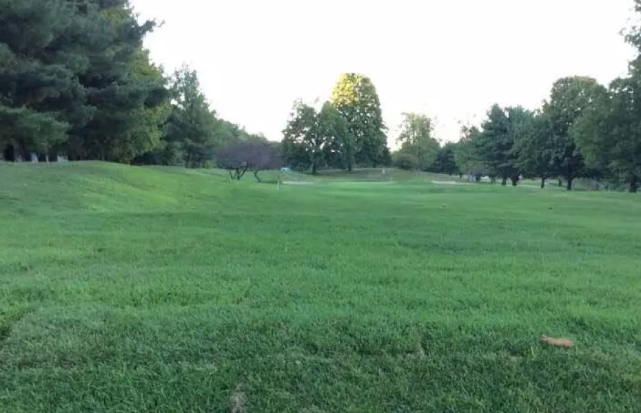 Buena Vista GC: #7