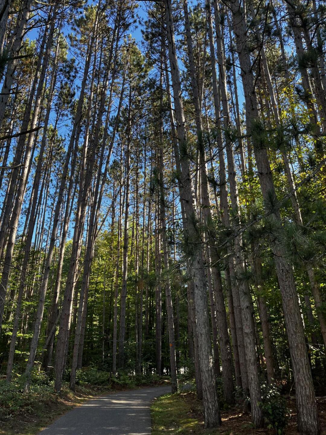 (Photo submitted by PeteMoss53 on 09/28/2024)