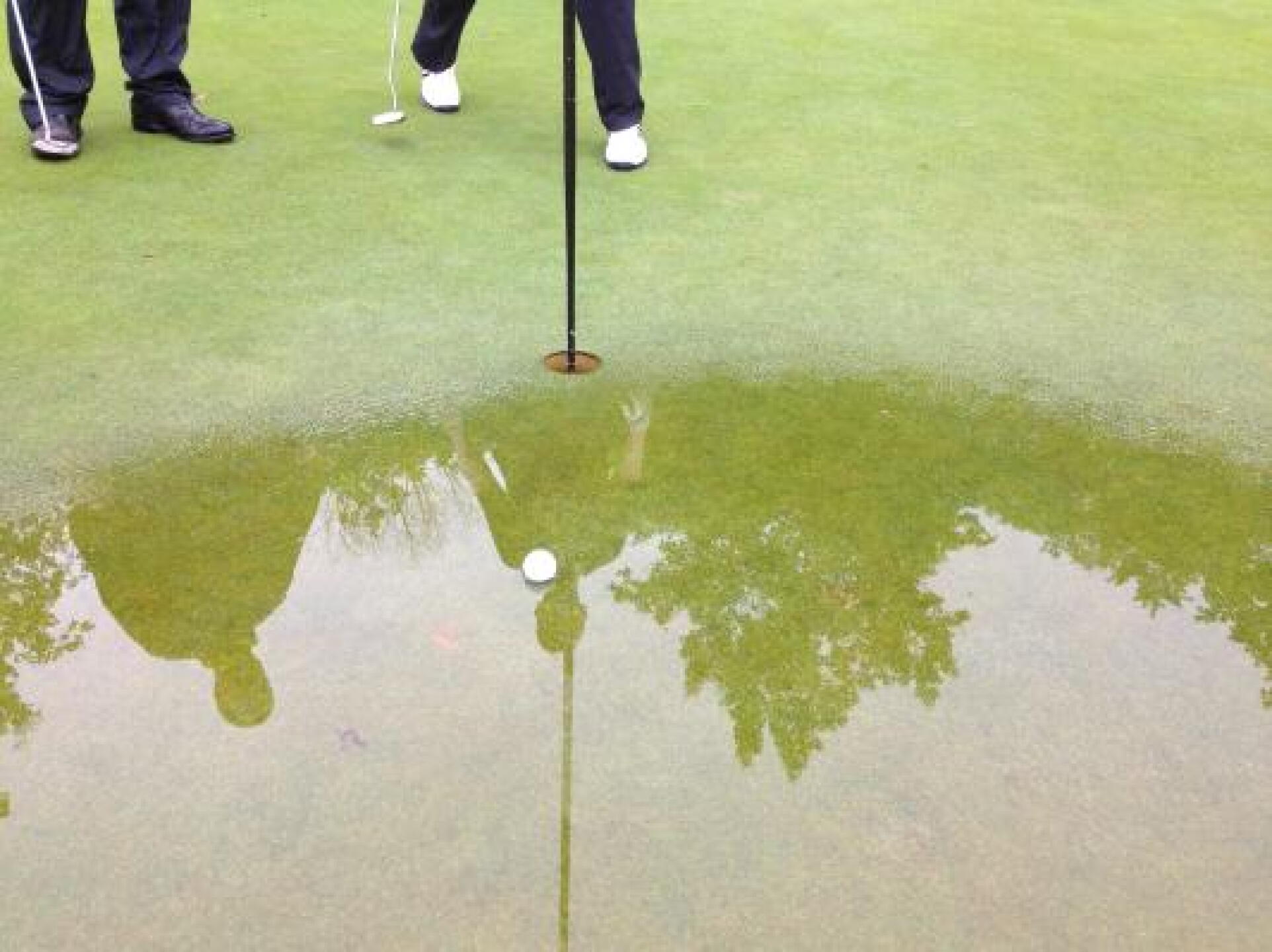 standing water (Photo submitted by shoestwotwo on 06/07/2013)