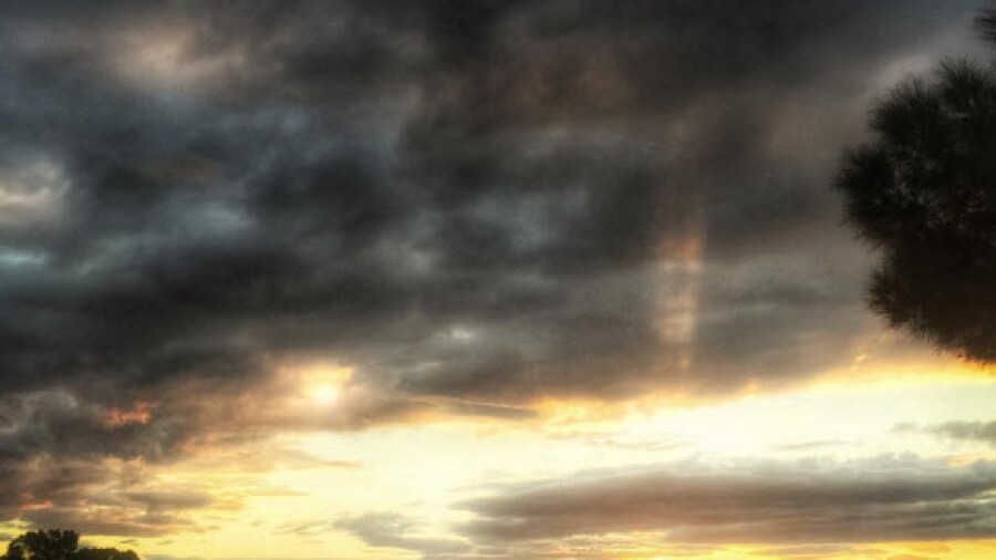 6 - Living The Green - November 2015 - jimmywalker