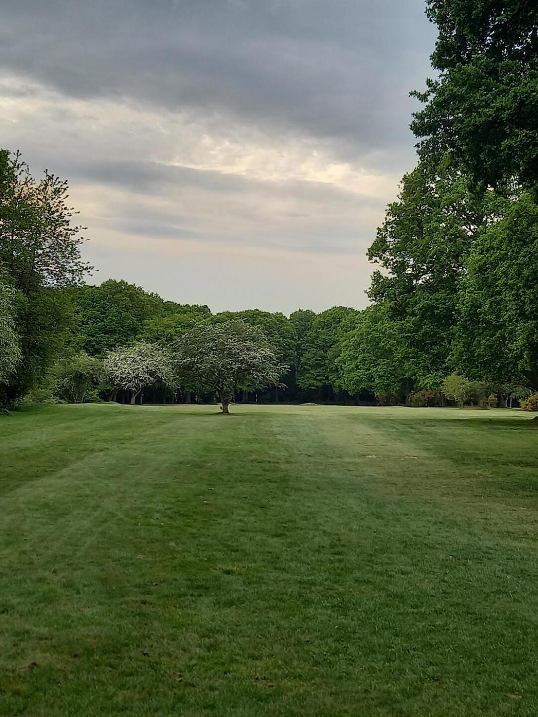 1st (Photo submitted by RG2F3D5BE69A2D189C07 on 06/10/2022)