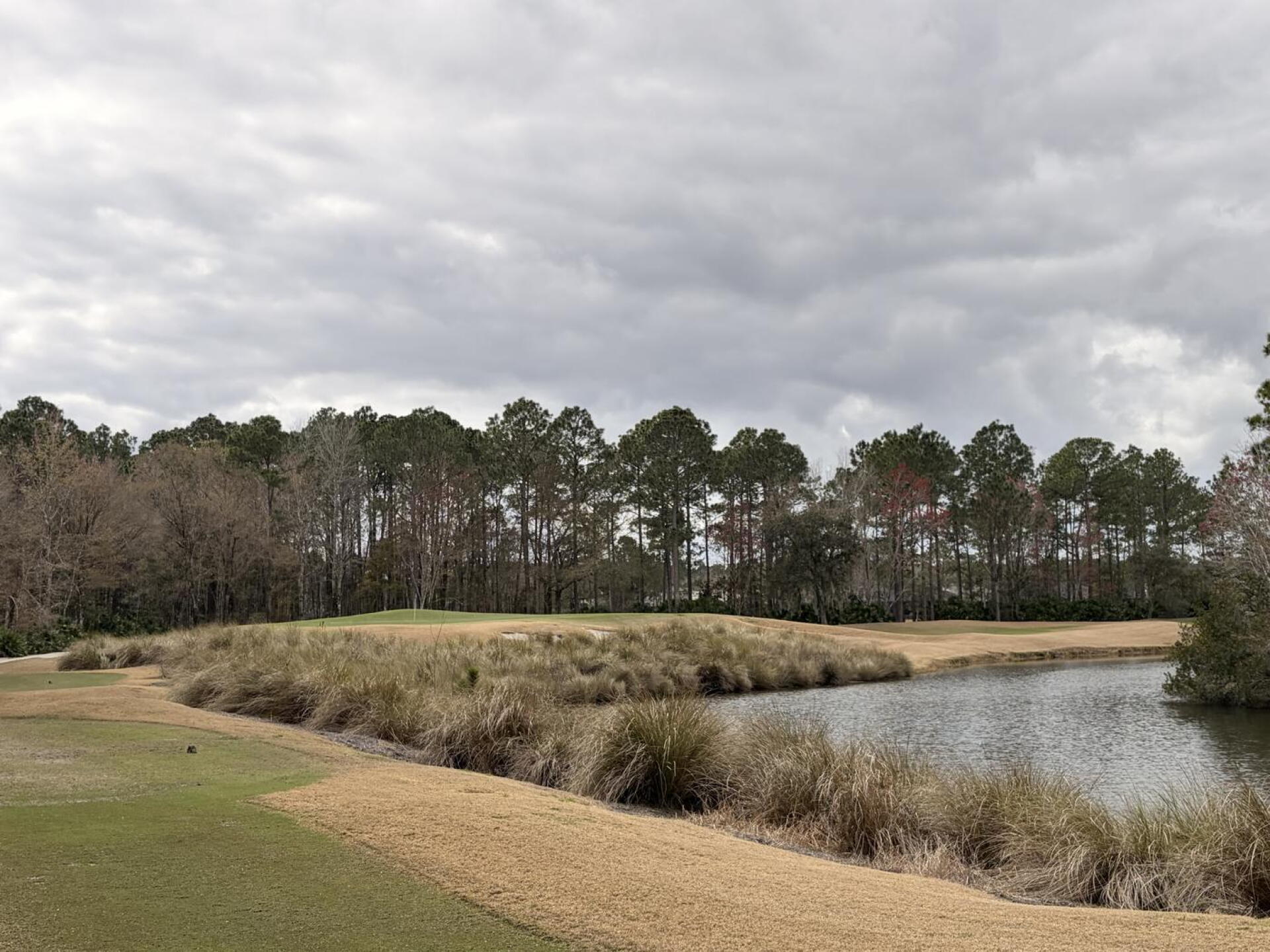 View of #7 (Photo submitted by u314159582643 on 02/20/2026)