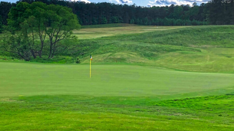 Royal New Kent - no. 9