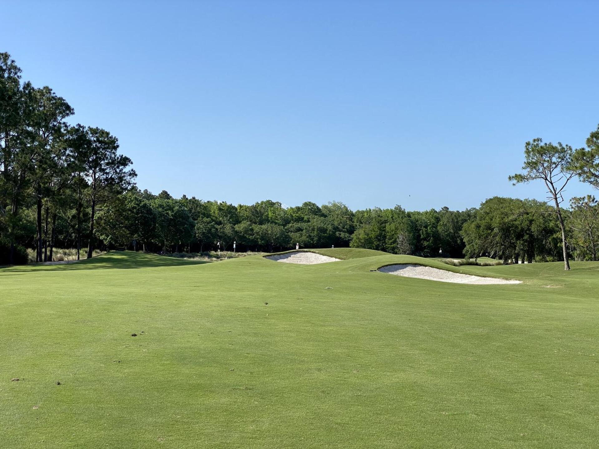 Slammer & Squire, hole 11 (Photo submitted by TimGavrichGP on 06/28/2022)