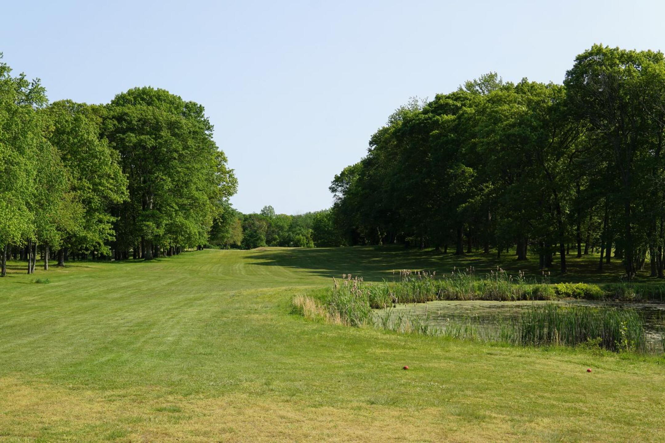 The tenth fairway is broad enough, but going too far left or right means tree troubles. (Photo submitted by AptlyLinked on 05/20/2023)