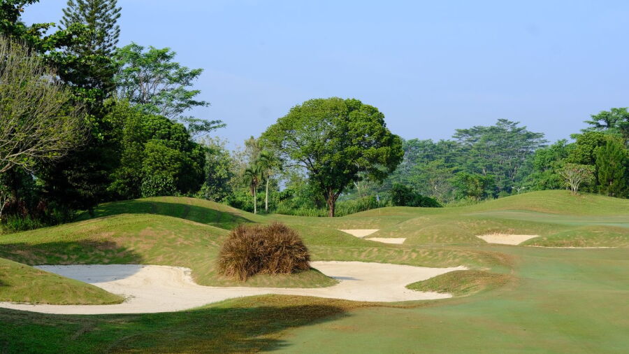 Royal Sumatra GCC