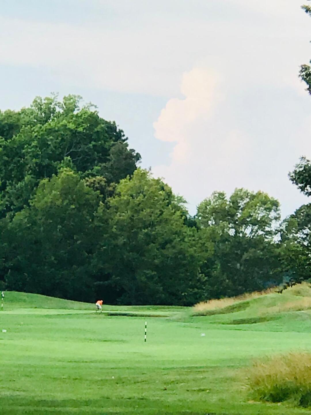 (Photo submitted by suemoshier on 07/06/2020)