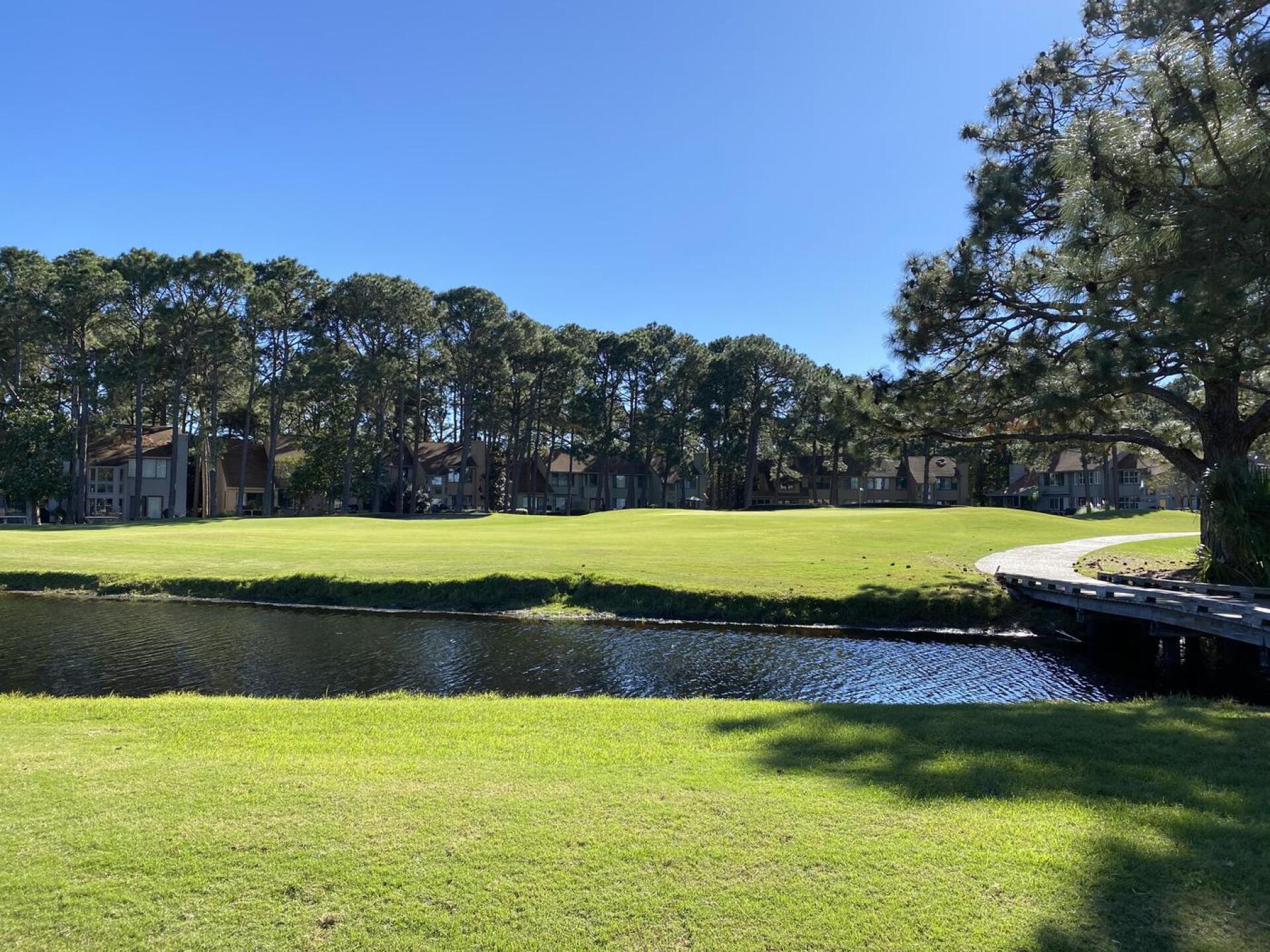 (Photo submitted by Debra7389525 on 03/10/2021)