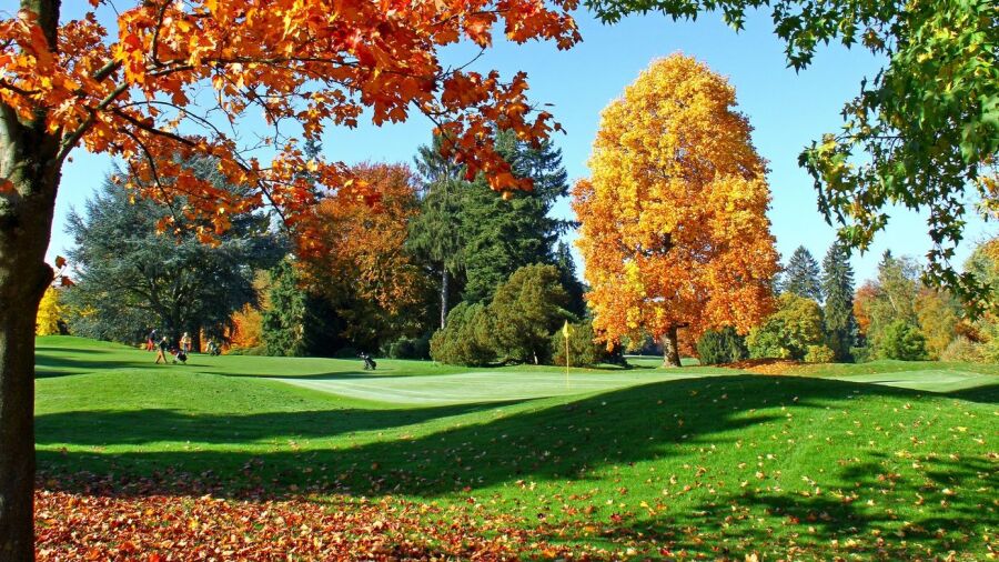 Royal GC of Belgium