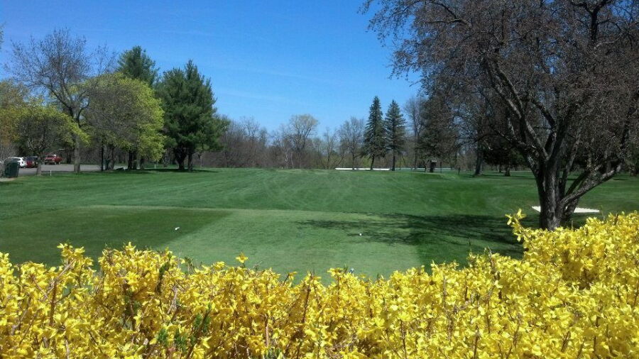 Corning CC