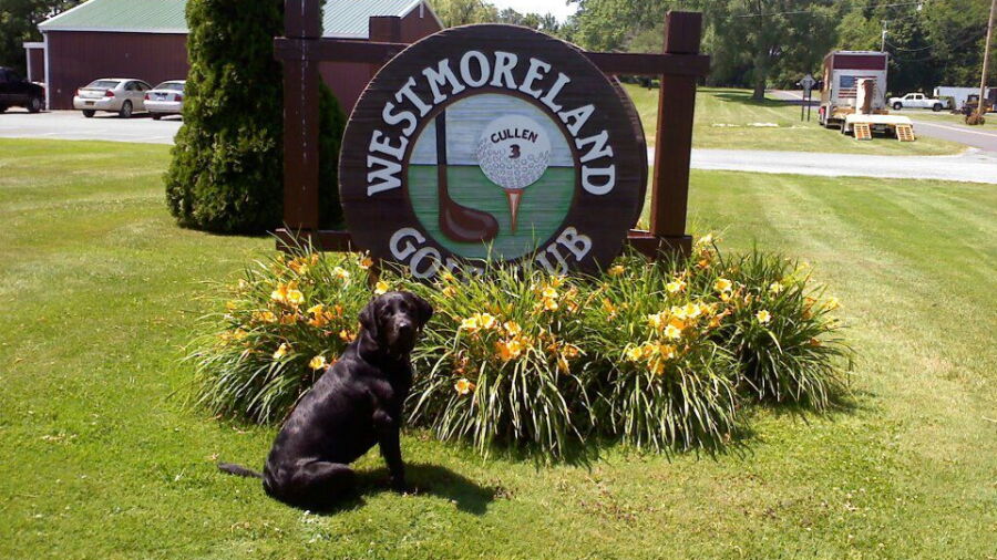 Westmoreland GC