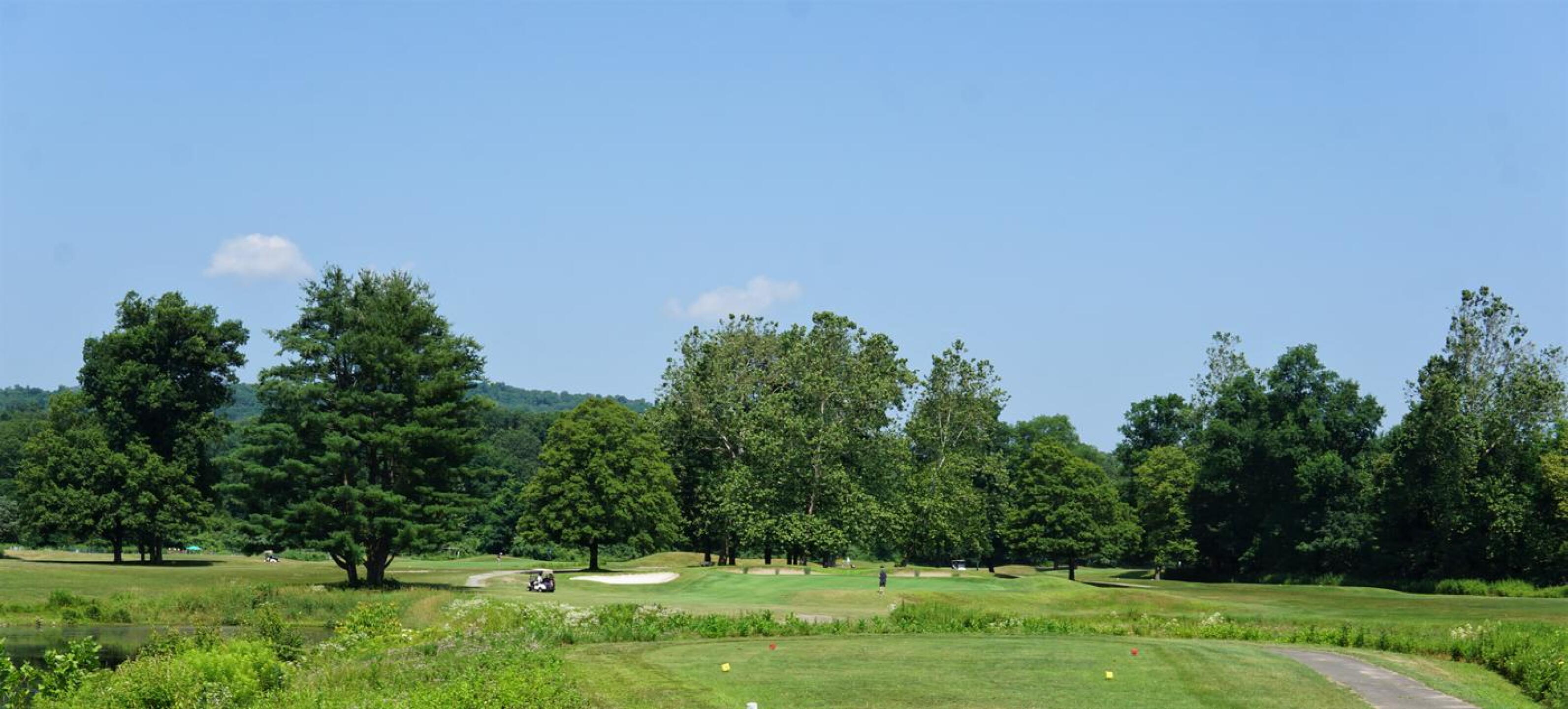 Hole eight, as seen from the tee. It stretches to over 200 yards from the blues. (Photo submitted by AptlyLinked on 07/08/2023)