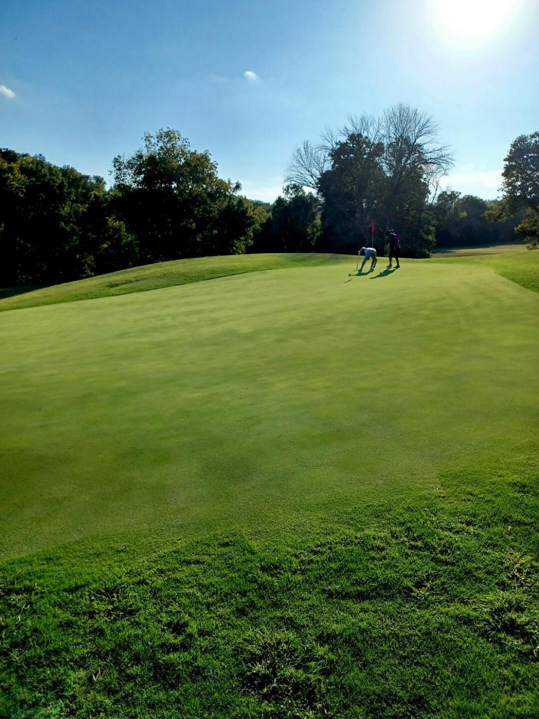 (Photo submitted by NPNVXKmmcaBbCItwaulk on 09/19/2024)