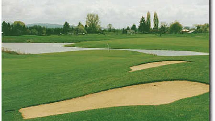 Quail Valley #15
