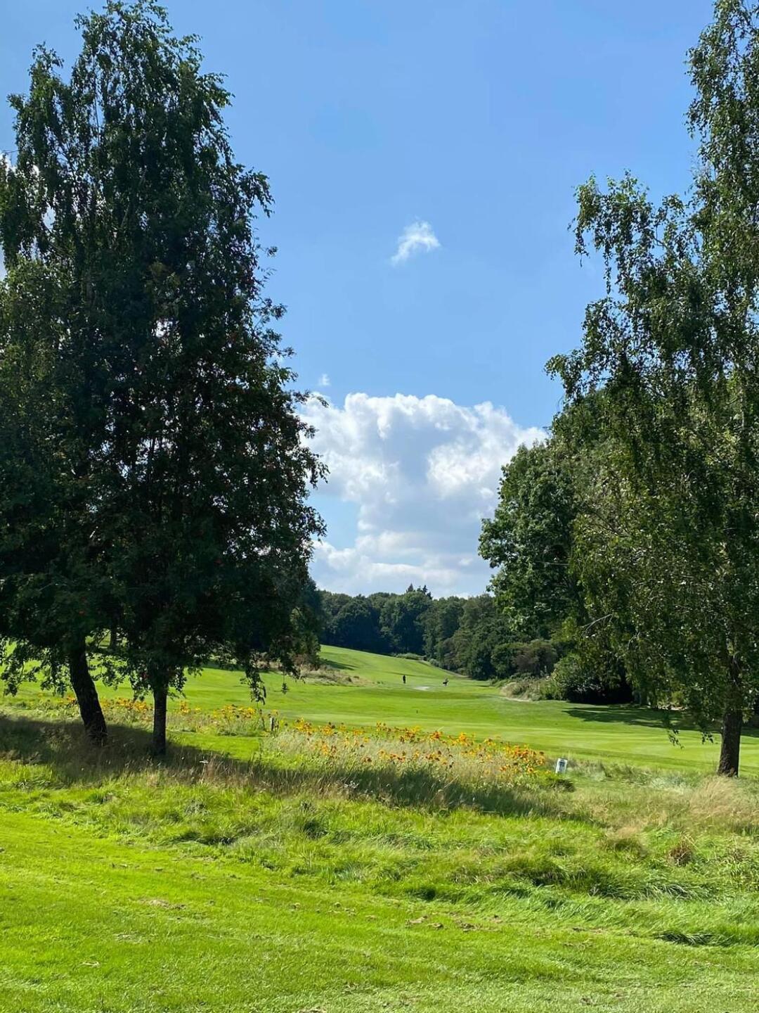 (Photo submitted by u5463526 on 10/18/2021)