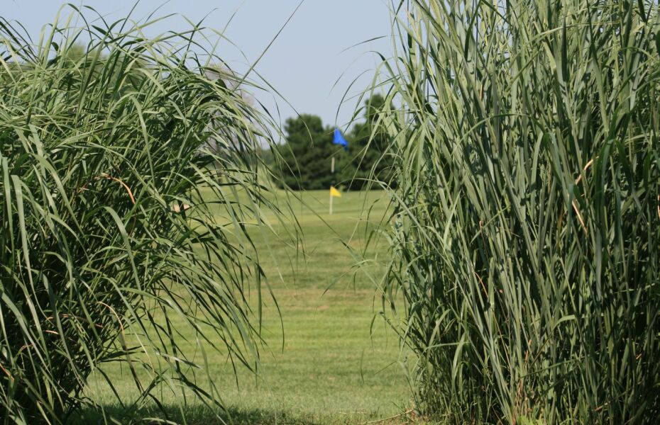 The Links at Pretty Prairie in Pretty Prairie, Kansas, USA GolfPass
