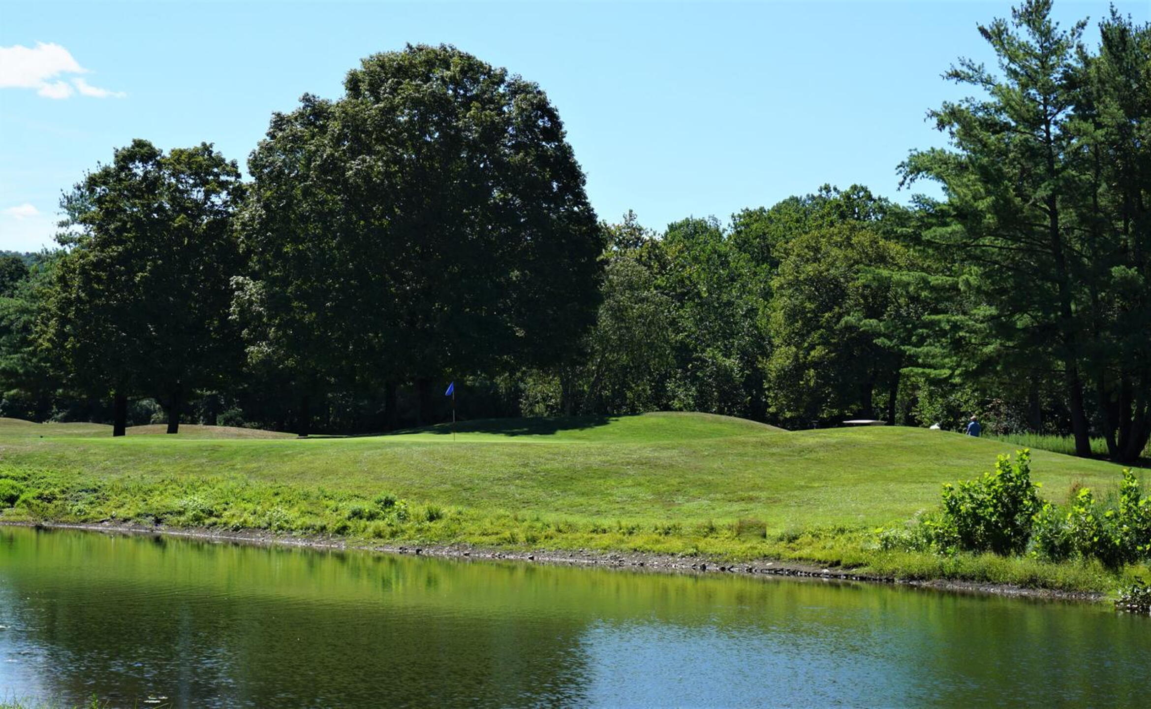 This is the fifth green complex (a par-three) as seen from fairway four. (Photo submitted by AptlyLinked on 08/21/2020)
