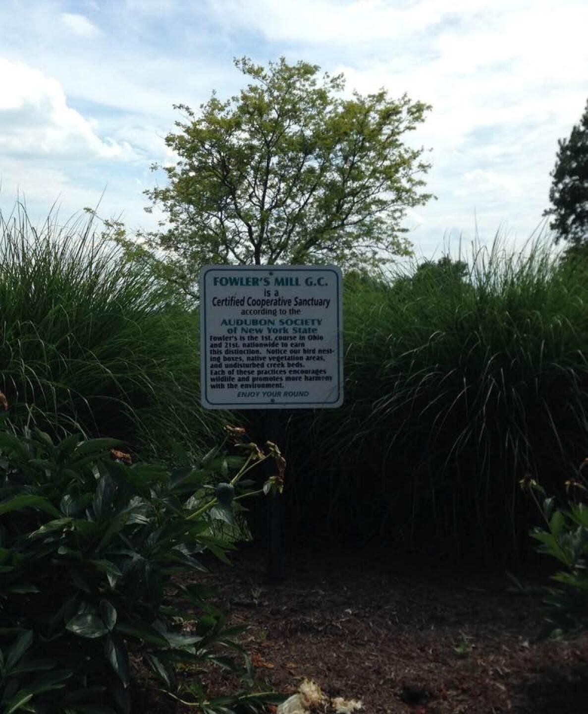 (Photo submitted by ftf218 on 08/15/2017)