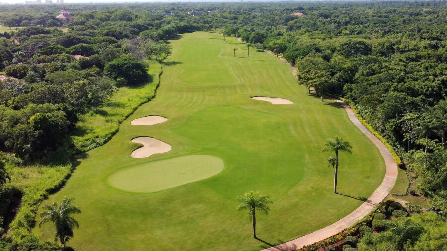 Guavaberry GCC: #9