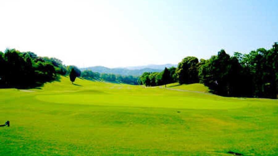 Sennan CC: #8