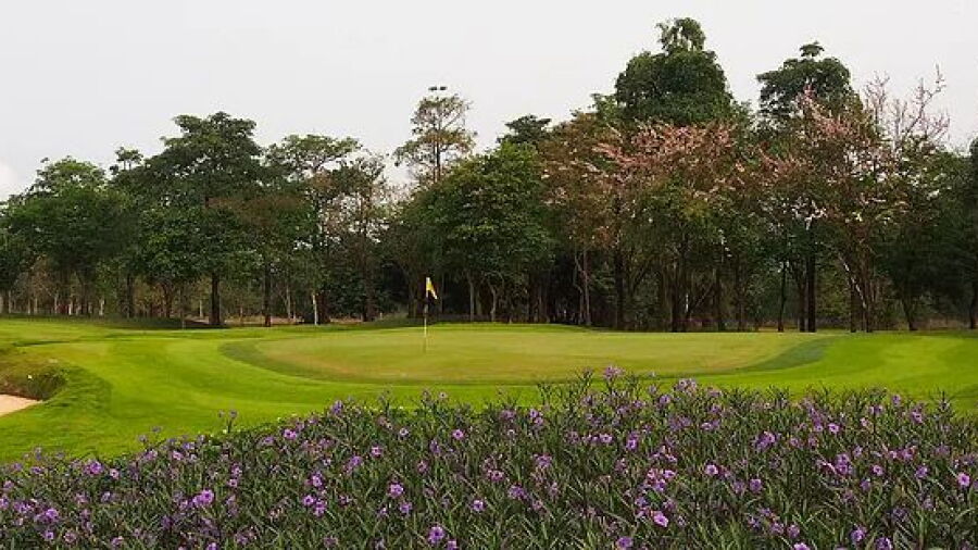 Phoenix Gold GCC - Ocean: #7
