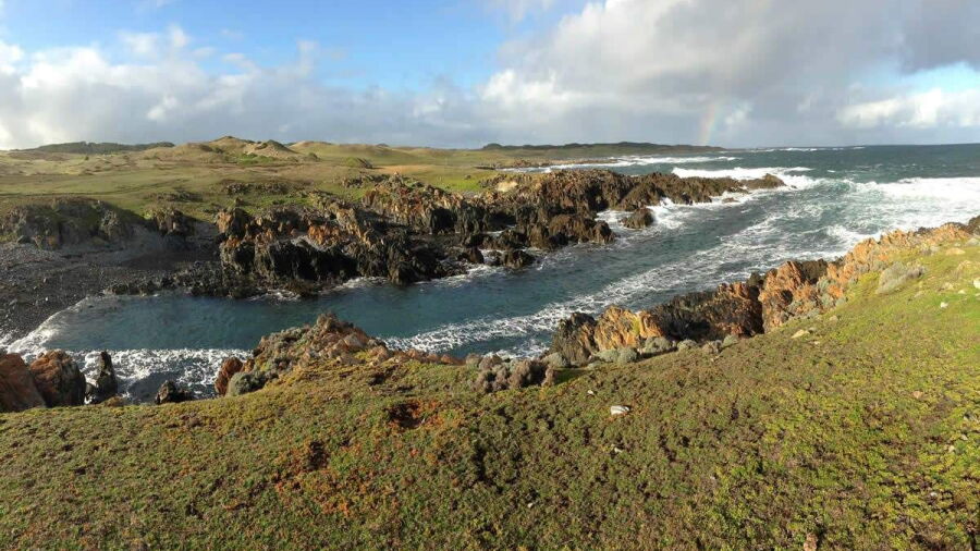 Ocean Dunes King Island GC: #4