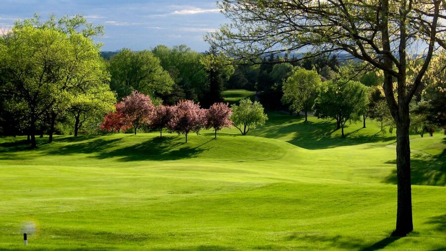 Somerset CC