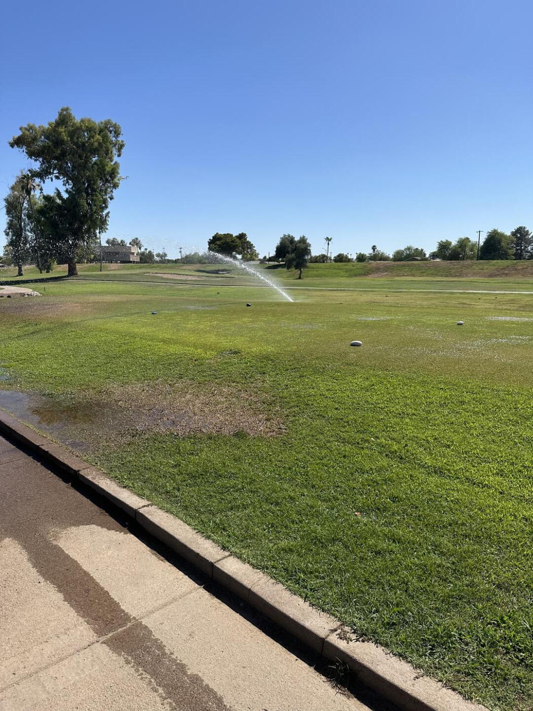 (Photo submitted by PQOzsftWr3DASYjSarqw on 06/21/2024)