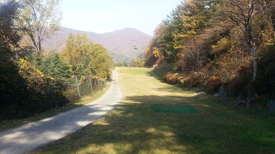 Bears Town Resort - Bears: #7