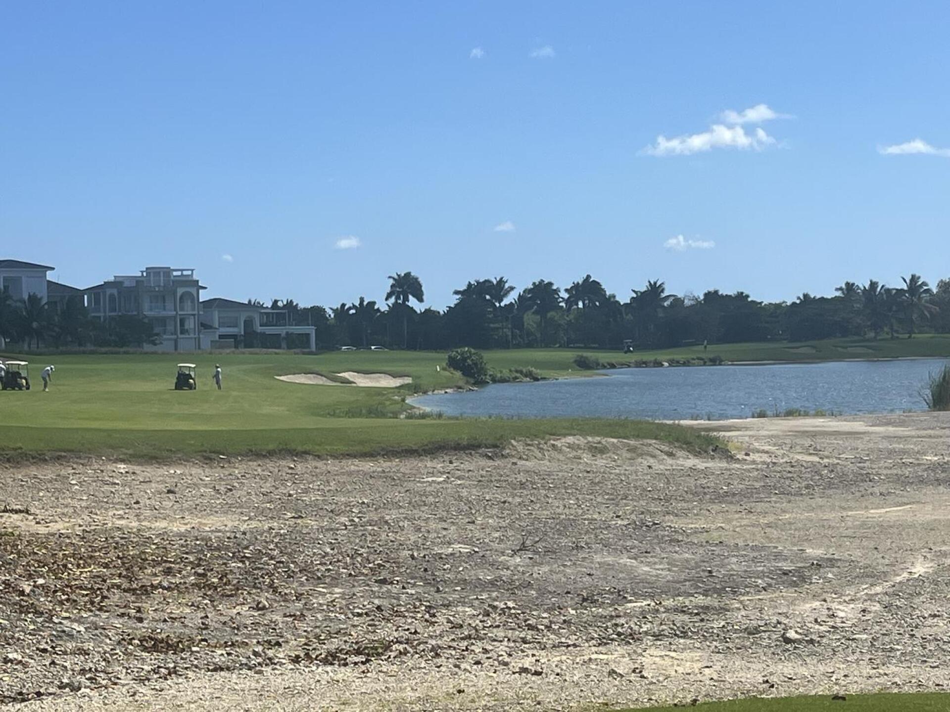 (Photo submitted by msheppard4419 on 03/01/2026)