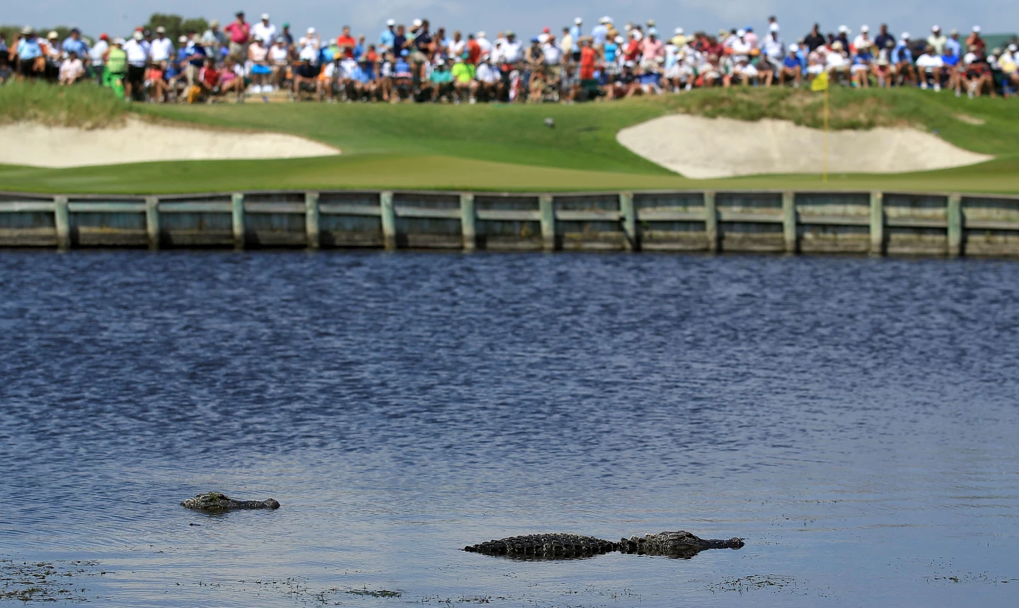 Kiawah Island Golf Resort - Ocean Course - no. 17
