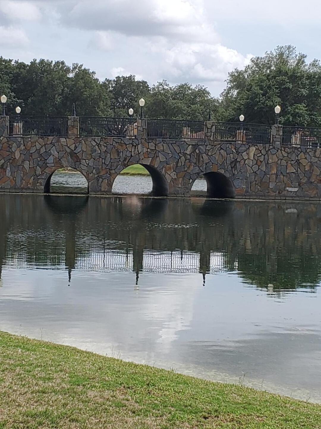 (Photo submitted by SHASHI60 on 06/02/2020)