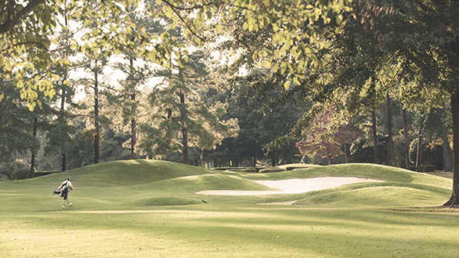 Starmount Forest CC