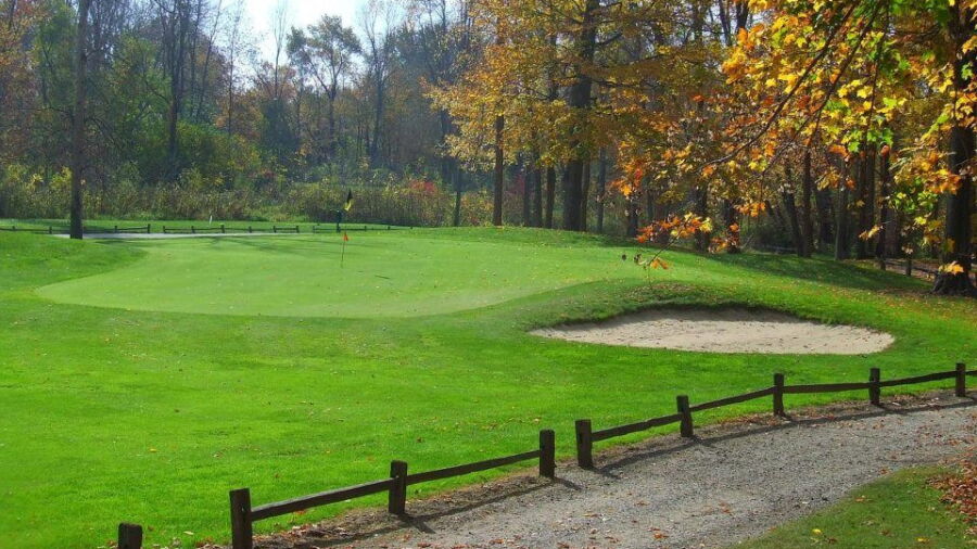 Centennial Acres - Midday: #8