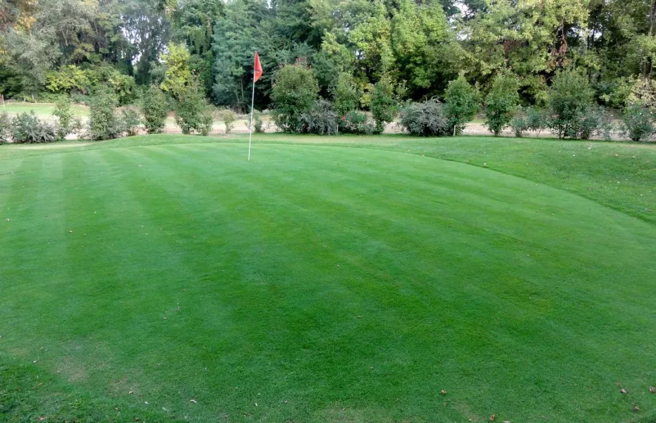 Ales-Ribaute GC