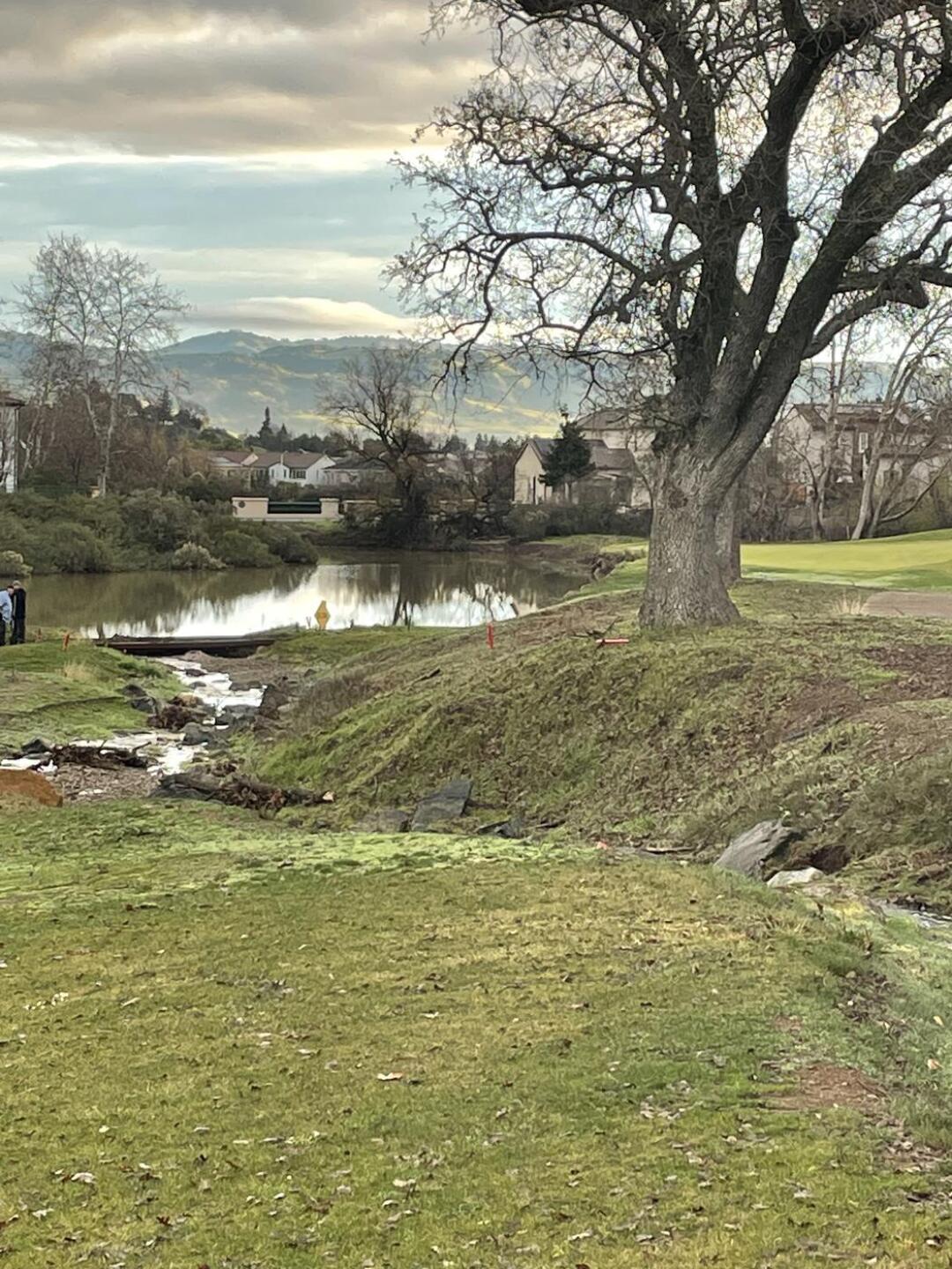 (Photo submitted by Realini on 11/10/2023)