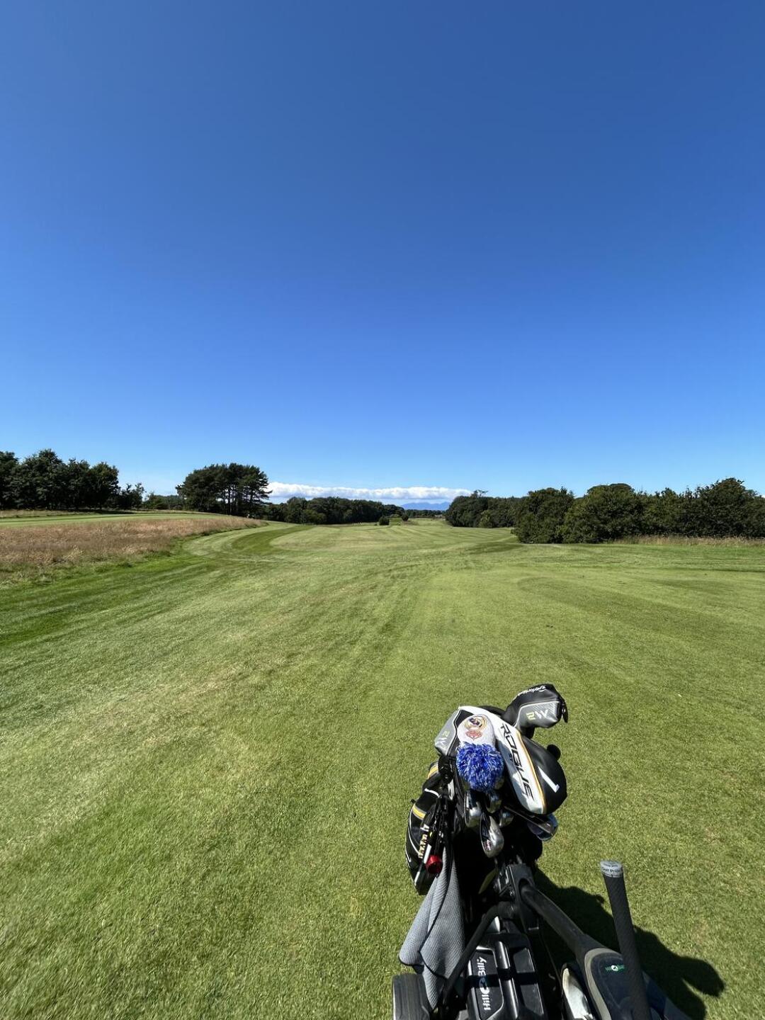 (Photo submitted by Aldo1970 on 07/24/2024)