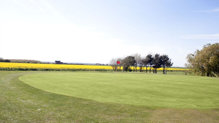 Skegness GC: #5
