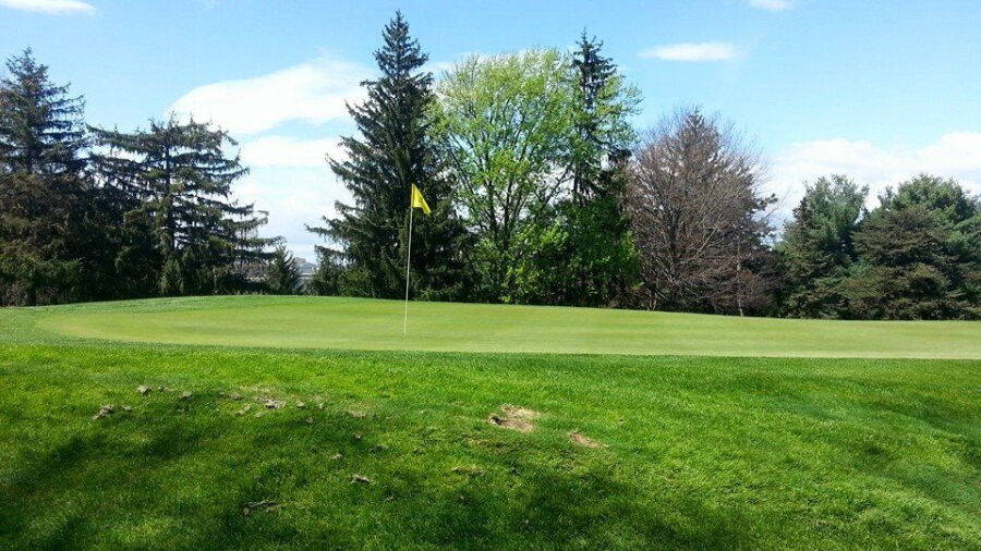 Spotswood CC