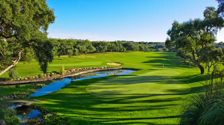 Valderrama: #4