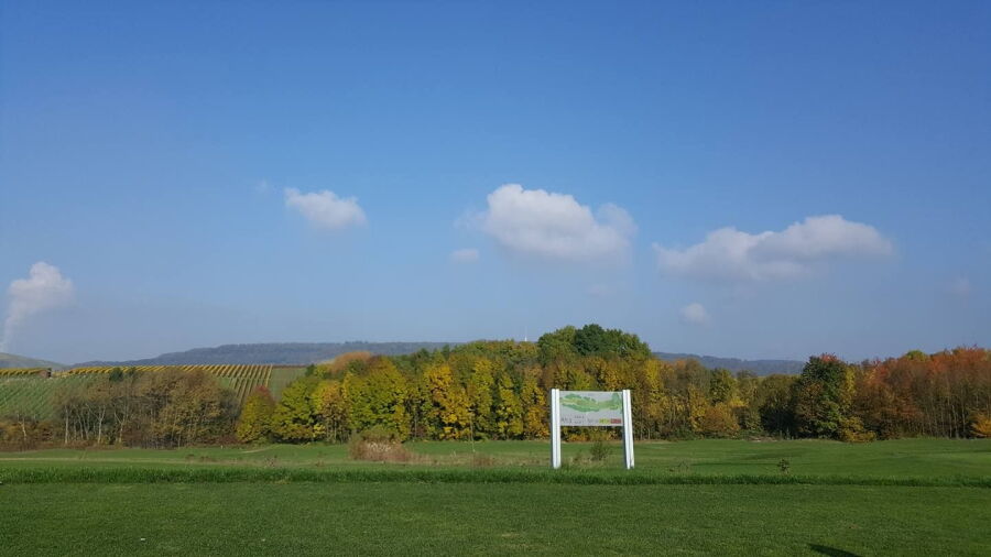 Talheimer Hof Public Golf - Champions: #4
