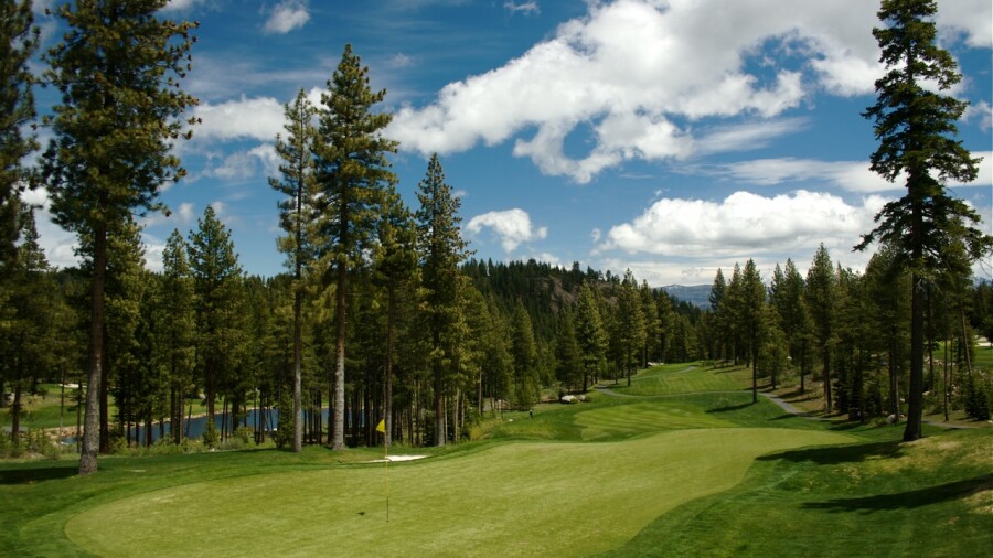 Coyote Moon GC - No. 18