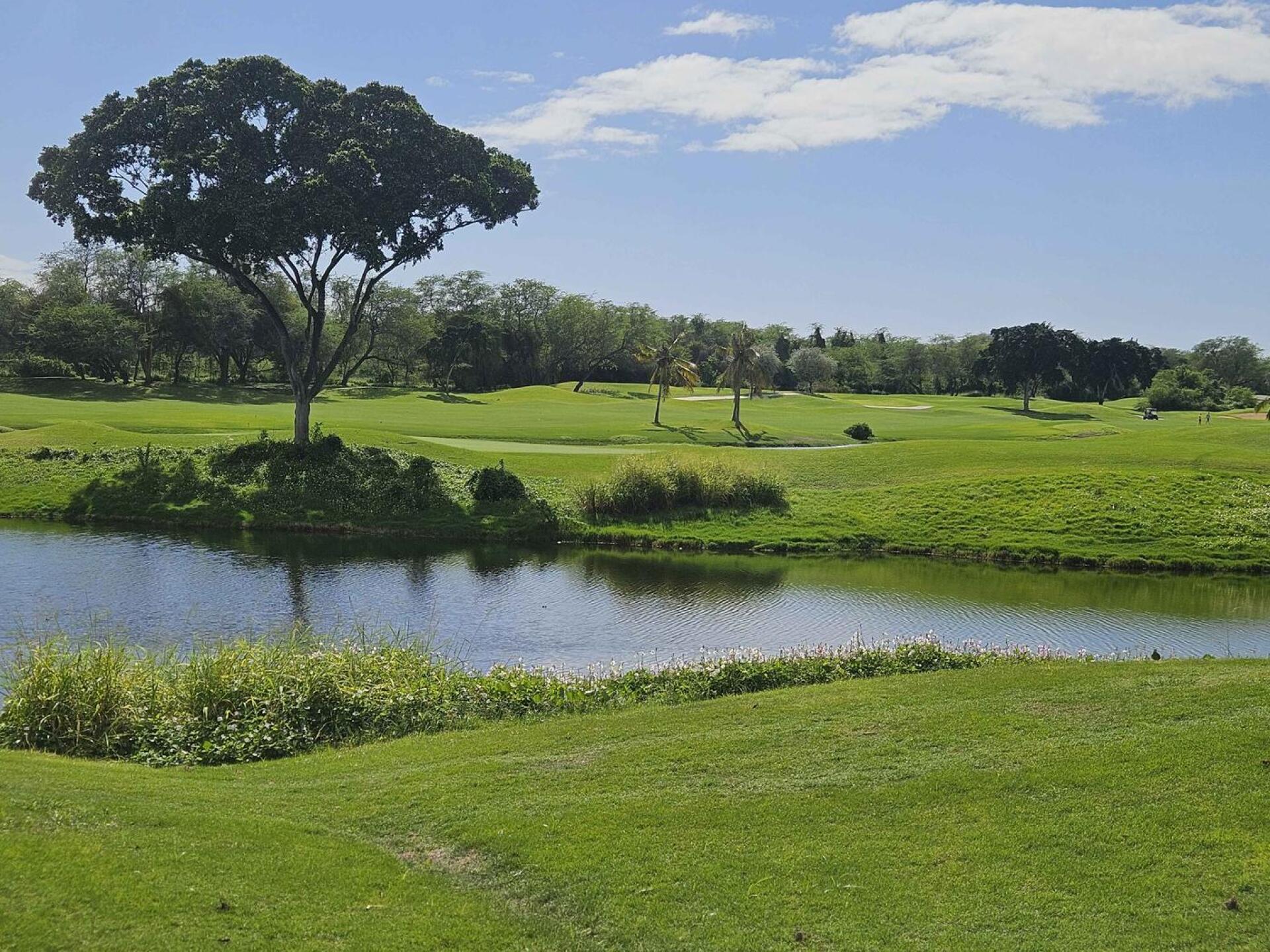 (Photo submitted by u314161622535 on 01/26/2026)