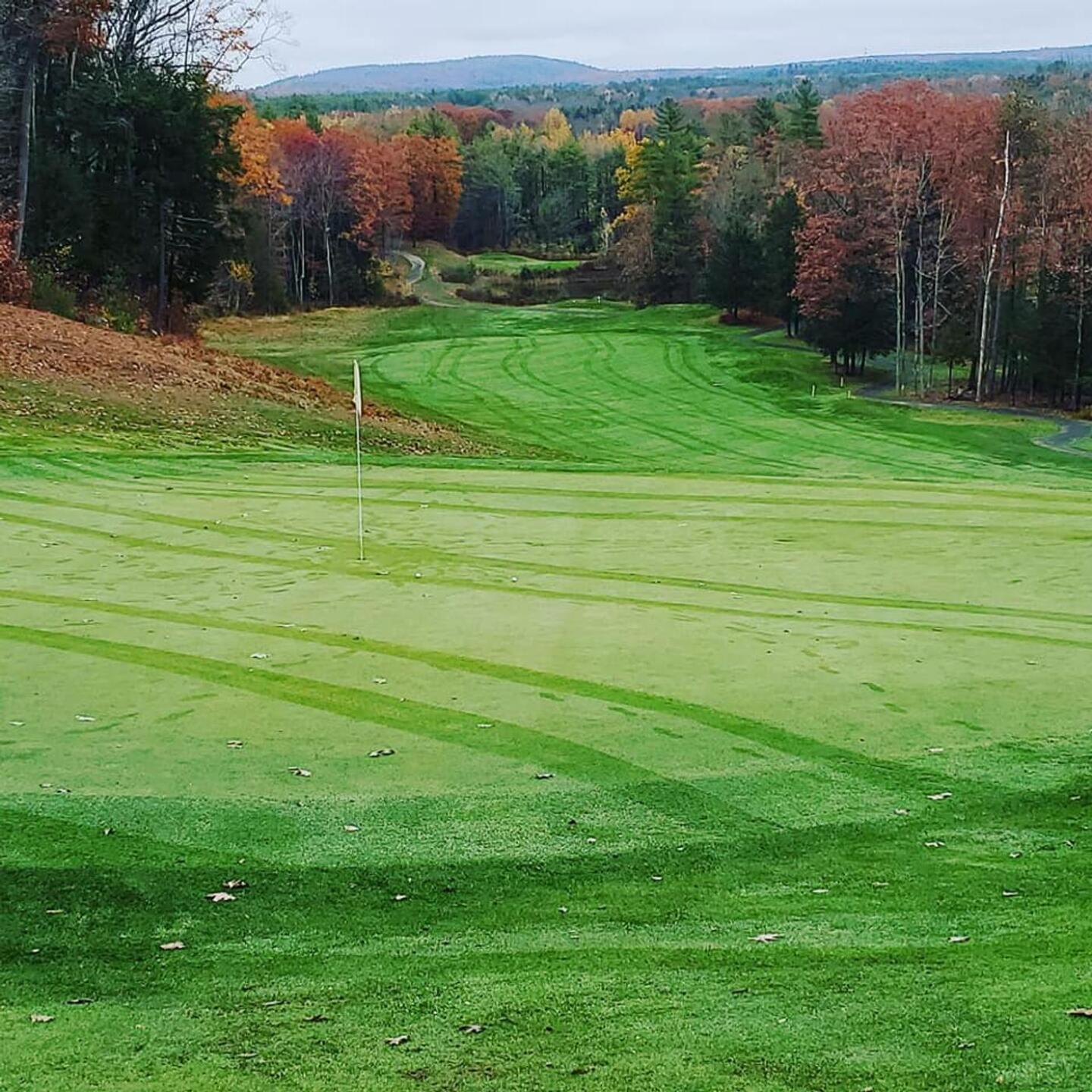 (Photo submitted by STOGIESnBOGEYS on 11/02/2020)