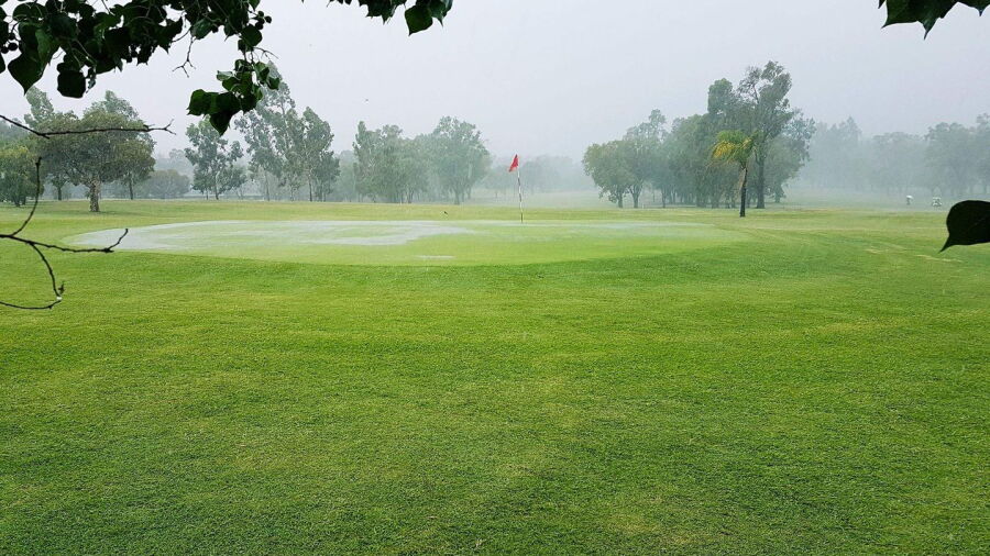 Chinchilla GC