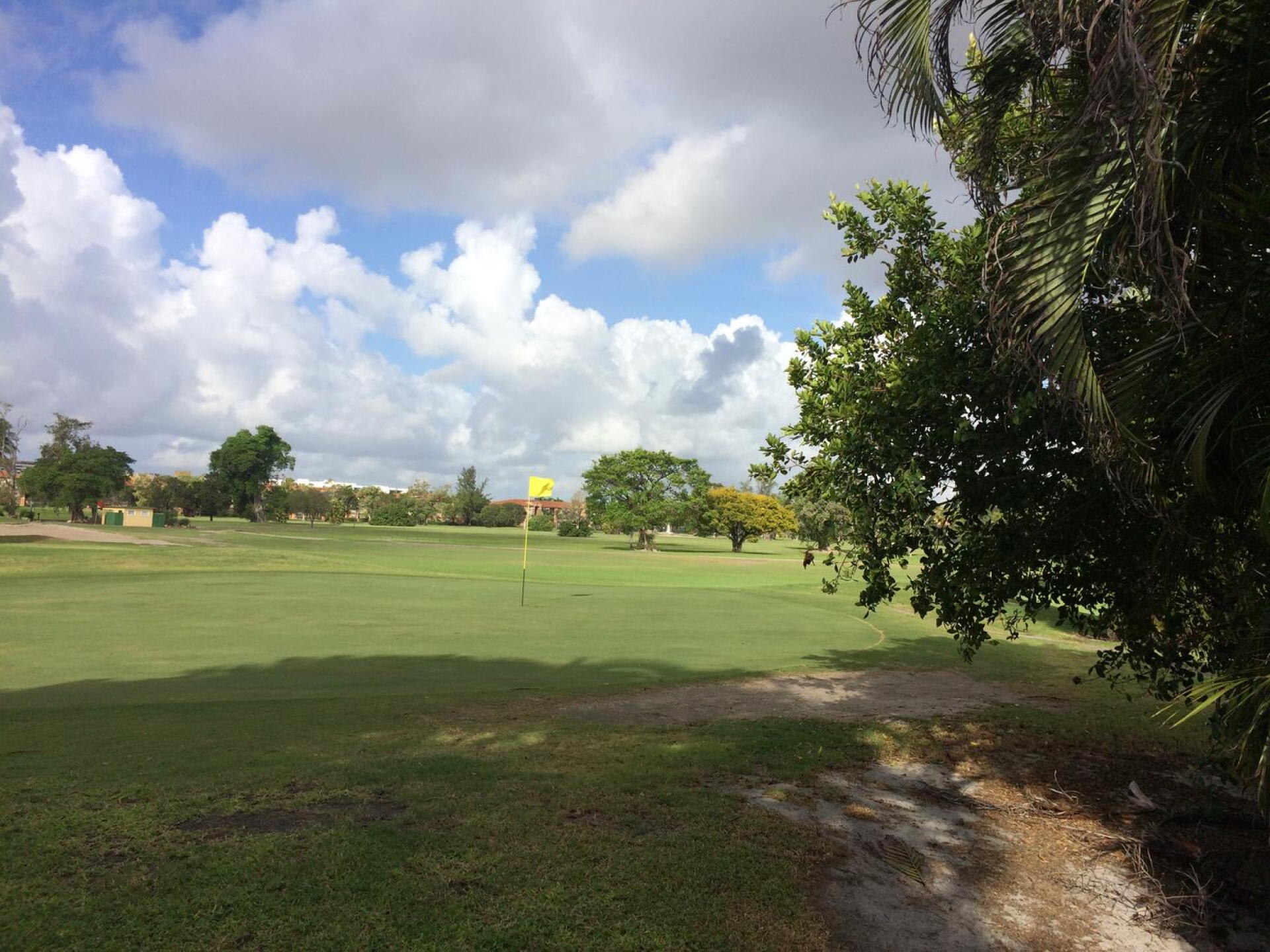 Green #4 very Ok but bare spots (Photo submitted by Tripa78 on 01/03/2017)