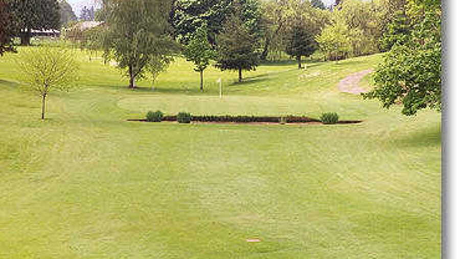 St Helen's #8