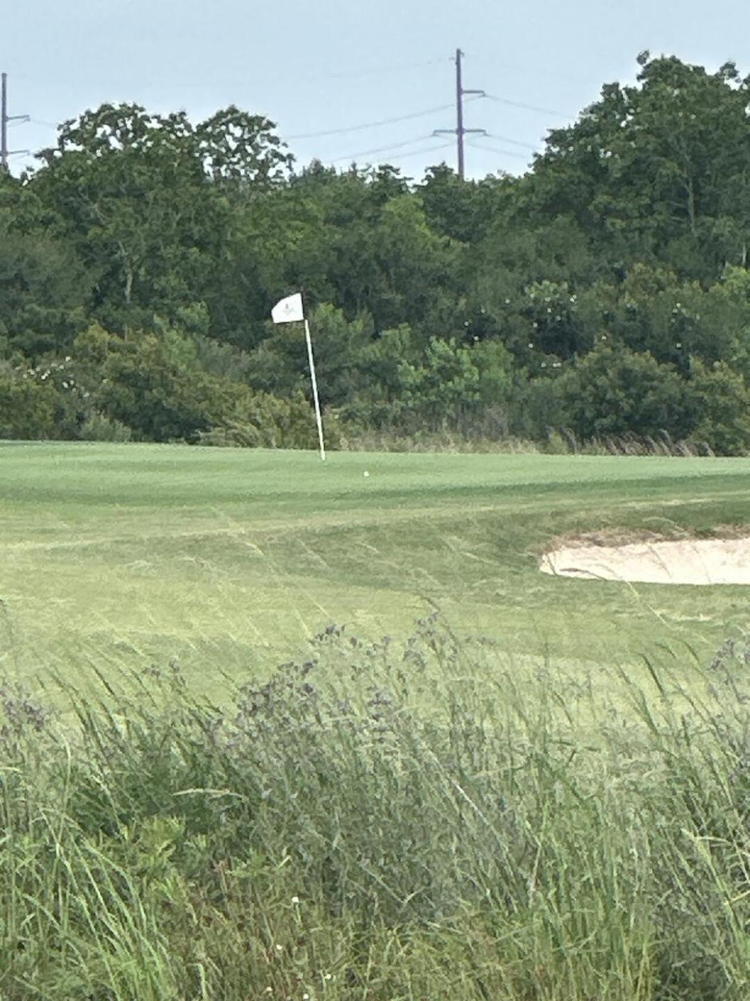 (Photo submitted by null on 05/17/2025)