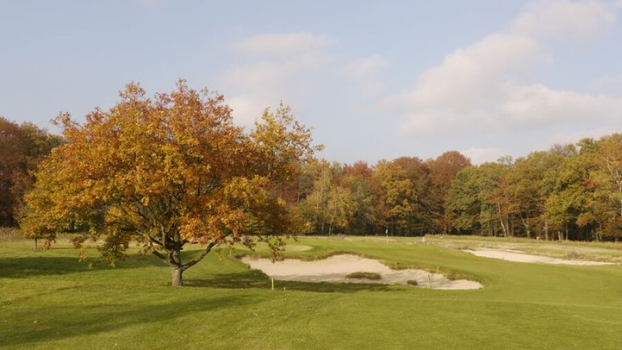 Gut Hahues zu Telgte GC